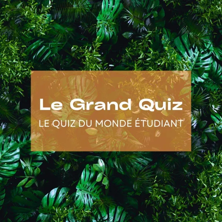 Grand Quiz school