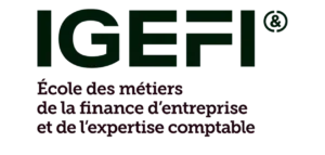 Logo IGEFI 1